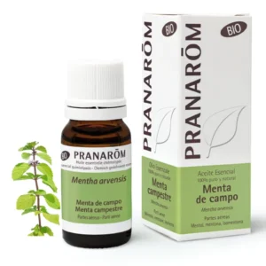 ACEITE ESENCIAL MENTA DE CAMPO