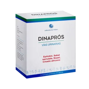 DINAPROS MAHEN